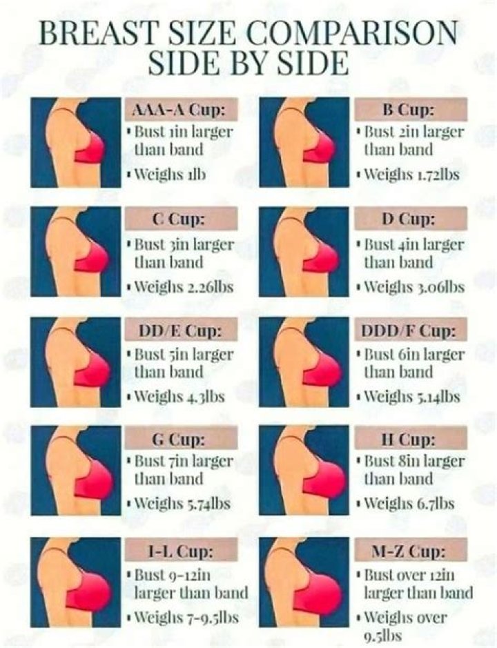 Exploring Anna Nicole Smith's Cup Size Phenomenon